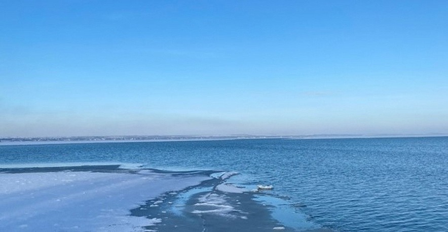 Фото: Ростовские учёные назвали мифом рост численности судака в Азовском море, фото из публикаций 1rnd