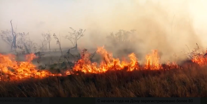Фото: ландшафтный пожар \\ кадр ГУ МЧС РФ по РО