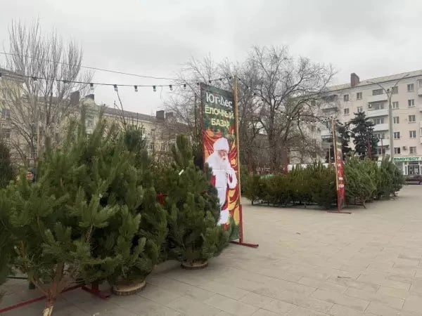 Фото: Дондэй