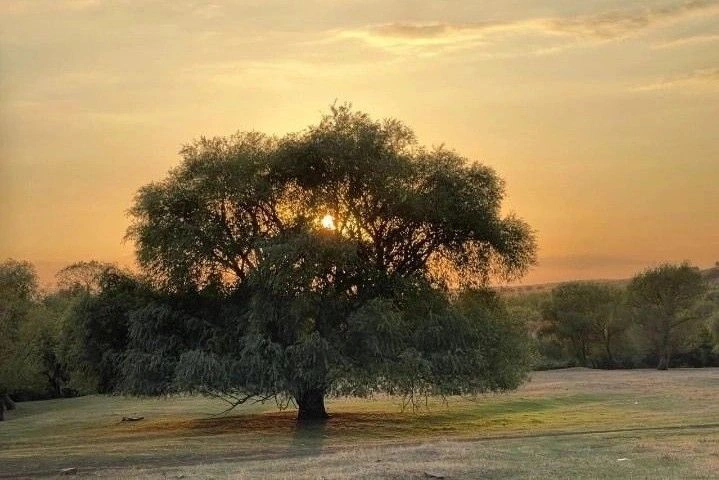 Фото: Правительство Ростовской области 