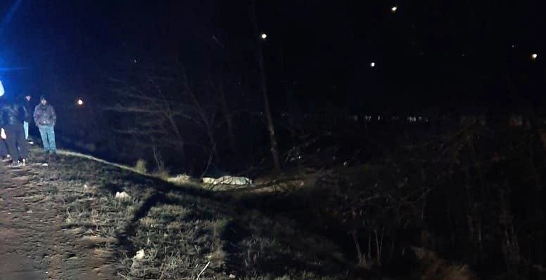 Фото: место ДТП под Кулешовкой, кадр ГАИ