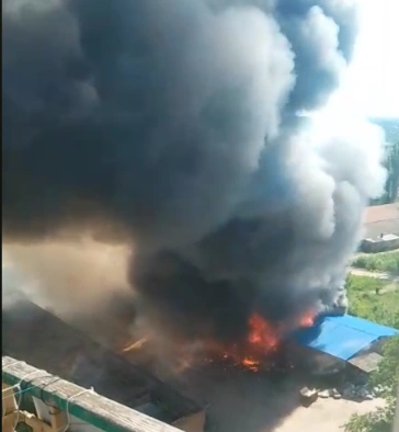 Фото: кадр из социальных сетей