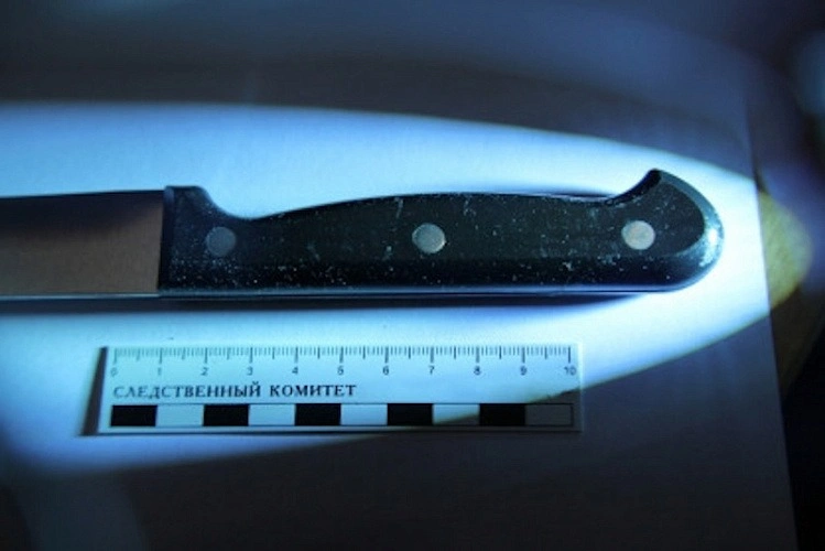 Фото: В Ростовской области мужчину будут судить за нападение на соседа / кадр СУСК РФ по РО