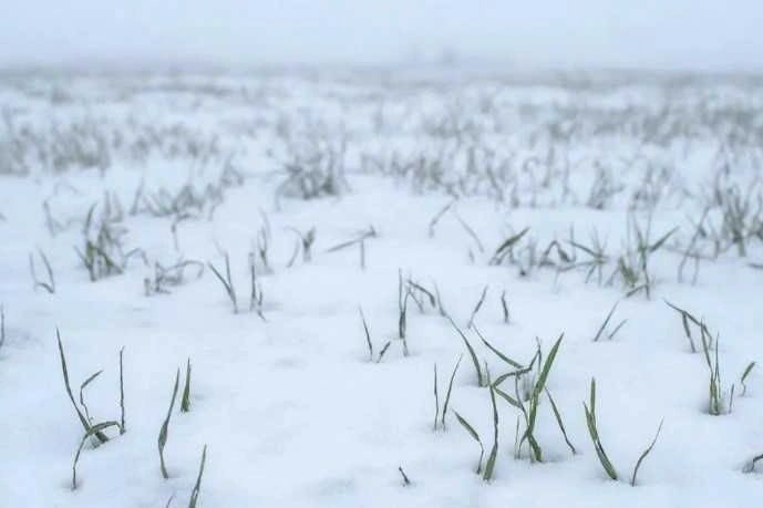 Фото: Правительство Ростовской области 