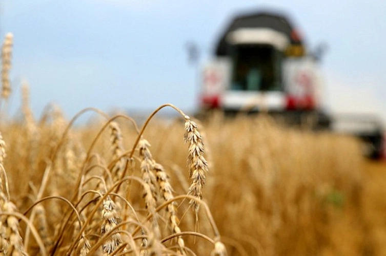 Фото: из публикаций 1Rnd