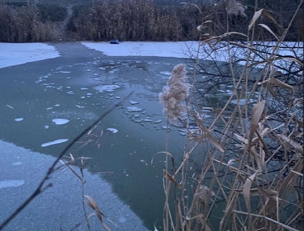 Фото: кадр донского МЧС