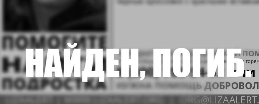 Фото: фрагмент листовки "Лиза Алерт"