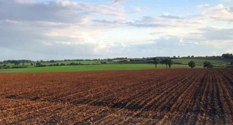 Фото: из архива Минсельхозпрод Ростовской области