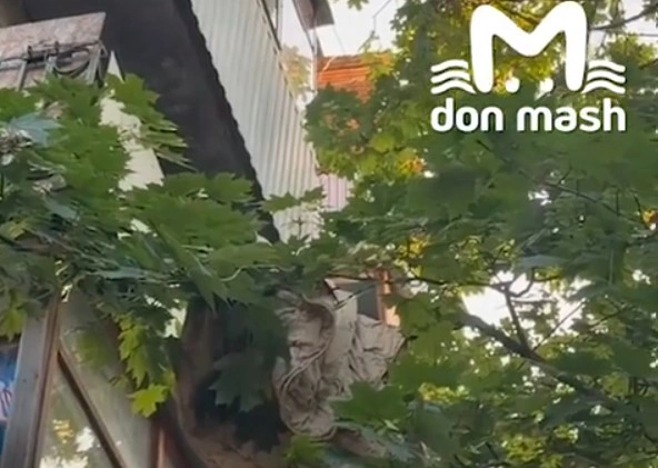 Фото: ТГ канала «Don Mash»