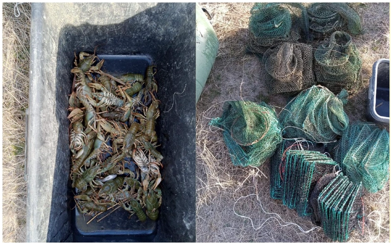 Фото: УТ МВД России по СКФО