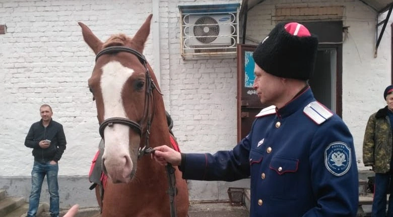 Фото: Ростовский казак с конём, кадр из архива 1rnd