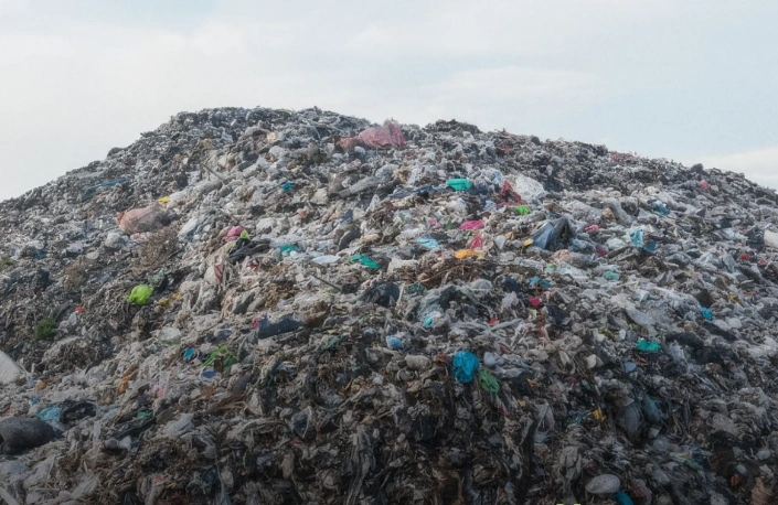 Фото: Росприроднадзор