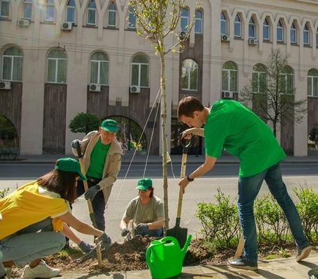 Фото: Сотрудники «Центр-инвест» высадили клёны на Большой Садовой в День древонасаждения, фото - пресс-служба банка