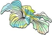 Azur de fleur, студия красоты