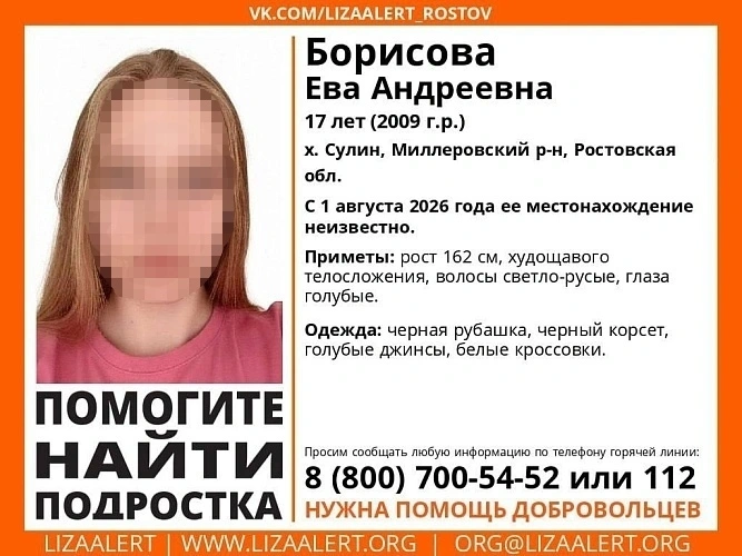 Фото: ТГ-канал "ЛизаАлерт" Ростовской области"