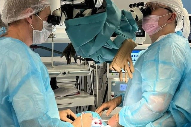 Фото: пресс-служба правительства РО