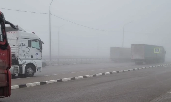 Фото: туман на трассе М-4, кадр из ТГ-чата трассы