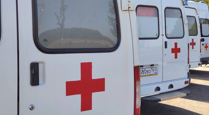 Фото: в Ростове зафиксировали заражение лептоспирозом // фото из публикаций 1rnd