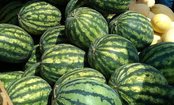 Фото: Арбузы на рынке в Ростове, кадр 1rnd