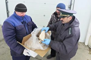 Фото: Региональный Россельхознадзор