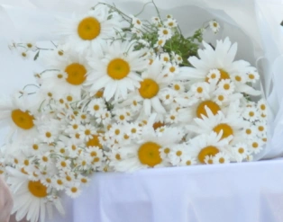 Фото: кадр 1Rnd