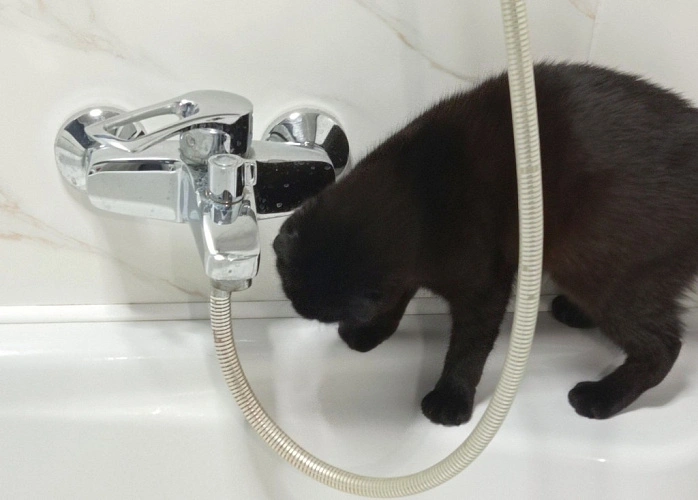 Фото: отключения воды // кадр из архива 1rnd