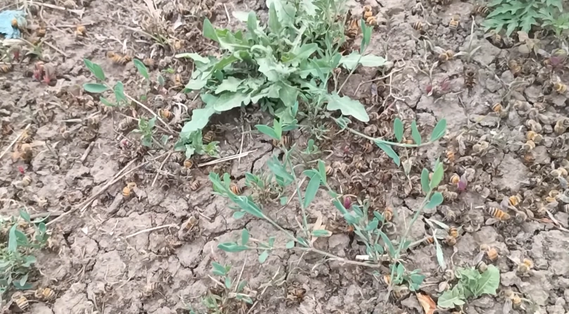 Фото: кадр из видео