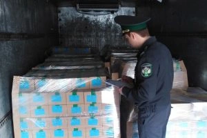 Фото: Региональный Россельхознадзор