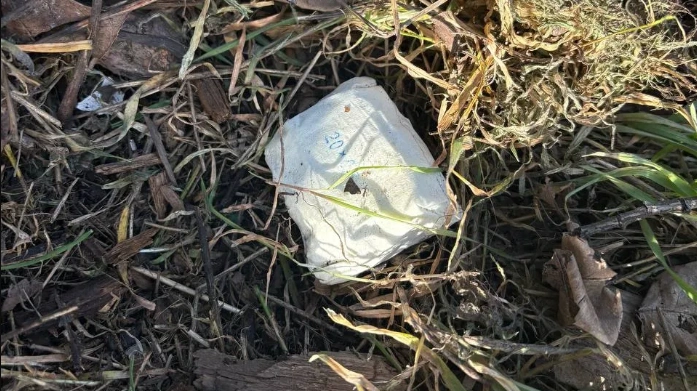 Фото: ГУ МВД РФ по РО