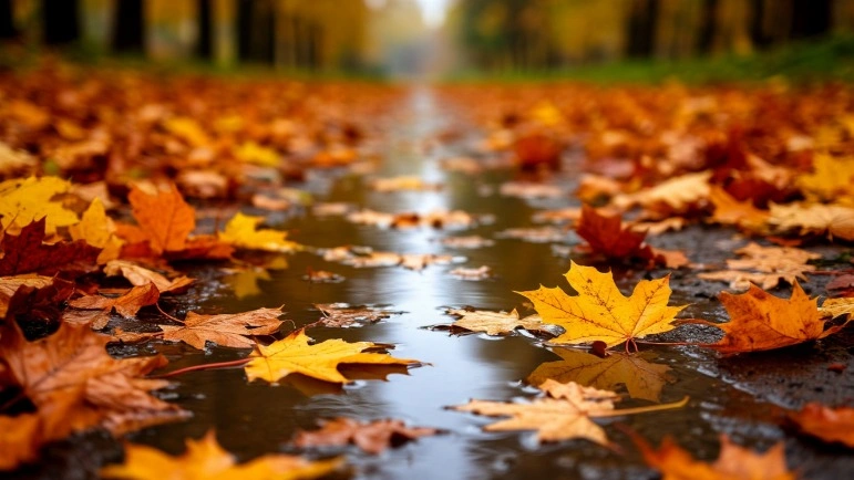 Фото: сгенерировано нейросетью Шедеврум