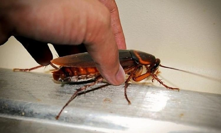 Фото: кадр портала turizm.ru