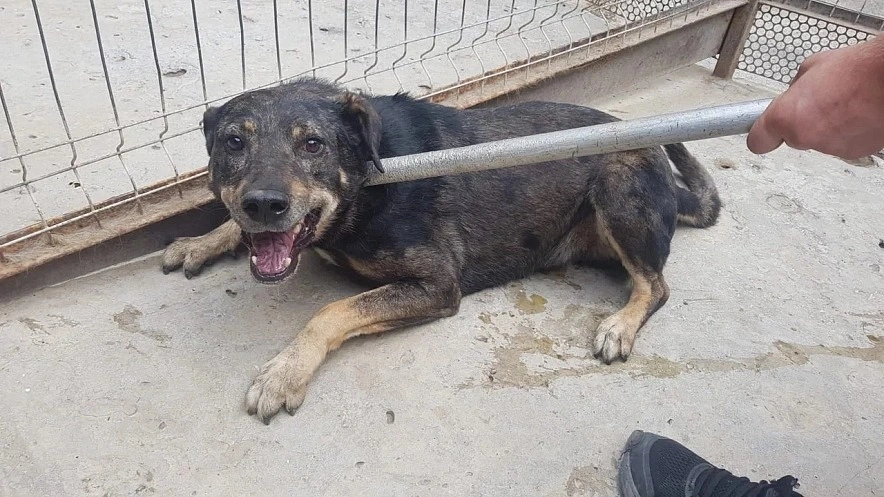 Фото: из публикаций 1rnd