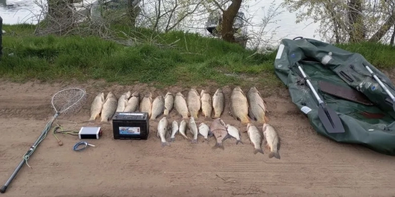 Фото: ГУ МВД РФ по РО