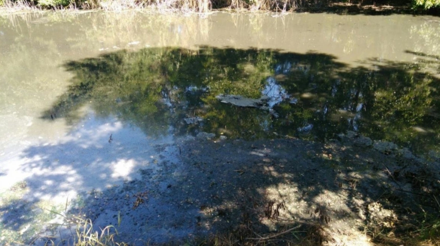 Фото: из публикаций 1Рнд