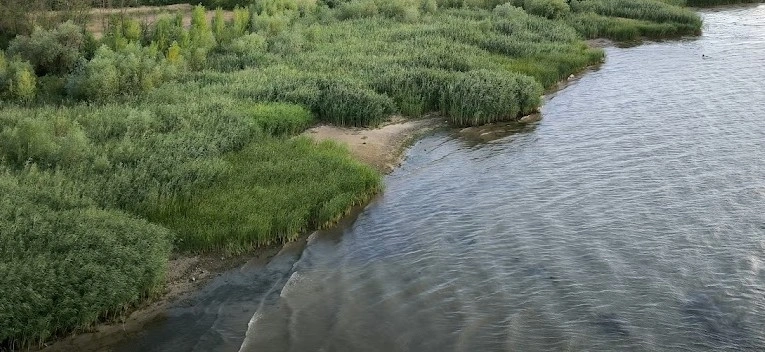 Фото: берег Дона, кадр 1rnd