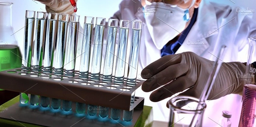 Фото: из публикаций 1rnd.ru