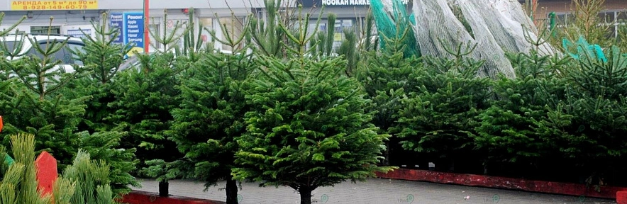 Фото: из публикаций 1rnd