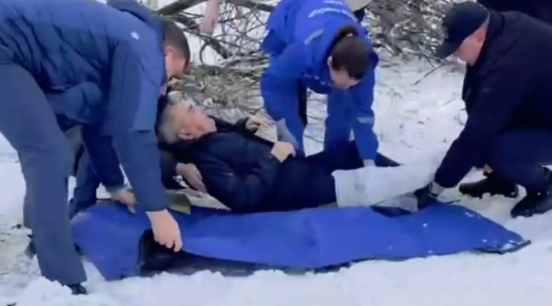 Фото: дерево упало на мужчину на Военведе, кадр очевидца