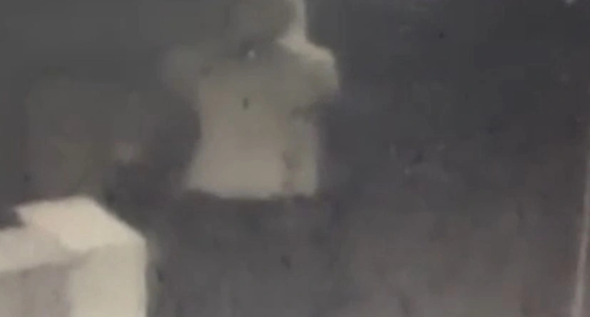 Фото: вор в магазине \\ скриншот видео ГУ МВД РФ по РО