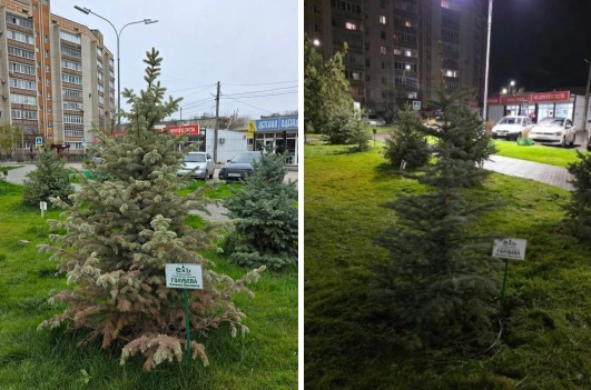 Фото: ТГ канала «Че по Ростову?»