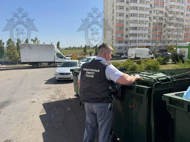 Фото: кадр донского Следкома