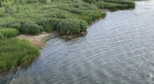 Фото: берег Дона, кадр 1rnd