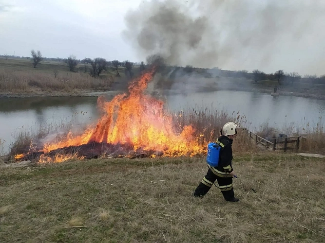 Фото: из публикаций 1Рнд