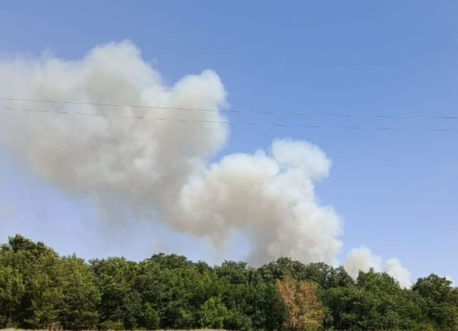 Фото: пожар в Каменском районе//кадр из социальных сетей