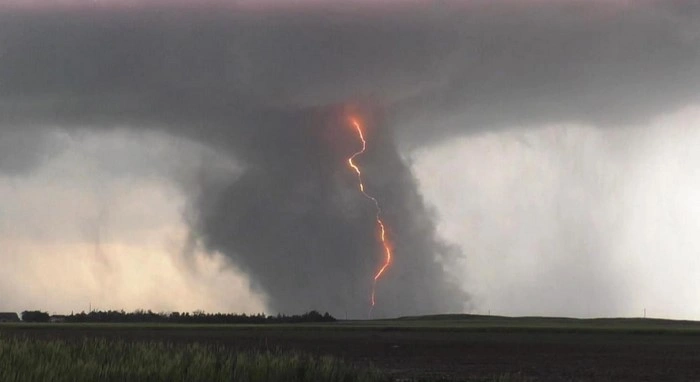 Фото: центра "Фобос"