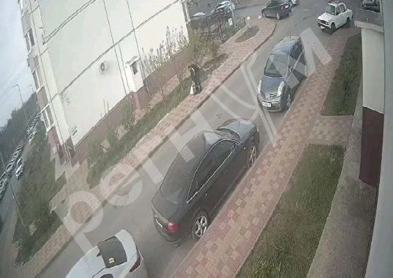 Фото: В Ростове ограбили вдову Моторолы, кадр Регнум