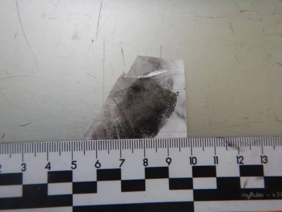 Фото: МВД по Ростовской области 