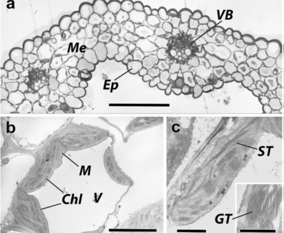 Фото: учёные ЮФУ разработали инновационную методологию // фото ЮФУ 