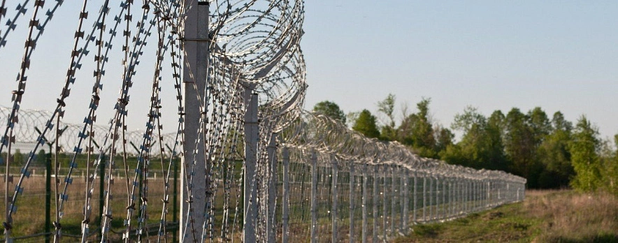 Фото: из публикаций 1Рнд