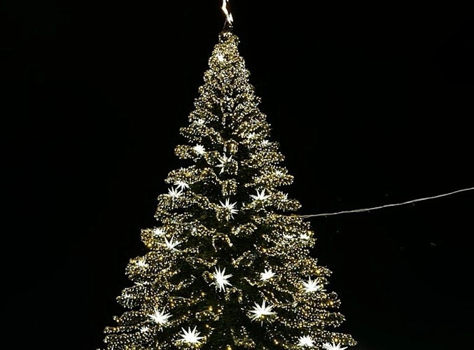 Фото: из публикаций 1rnd.ru